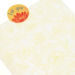 Disney Store Coffret De Pâtisserie à Offrir La Princesse Et La Grenouille -Disney Soldes Boutique 465013382831 4