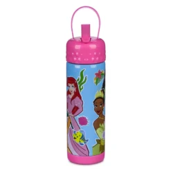 Disney Store Gourde Princesses Disney -Disney Soldes Boutique 465022812282 2