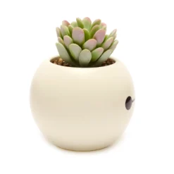 Disney Store Plante Artificielle En Pot Baymax, Les Nouveaux Héros -Disney Soldes Boutique 465043353962 3