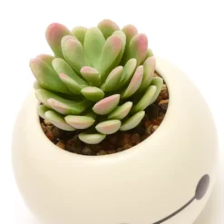 Disney Store Plante Artificielle En Pot Baymax, Les Nouveaux Héros -Disney Soldes Boutique 465043353962 4