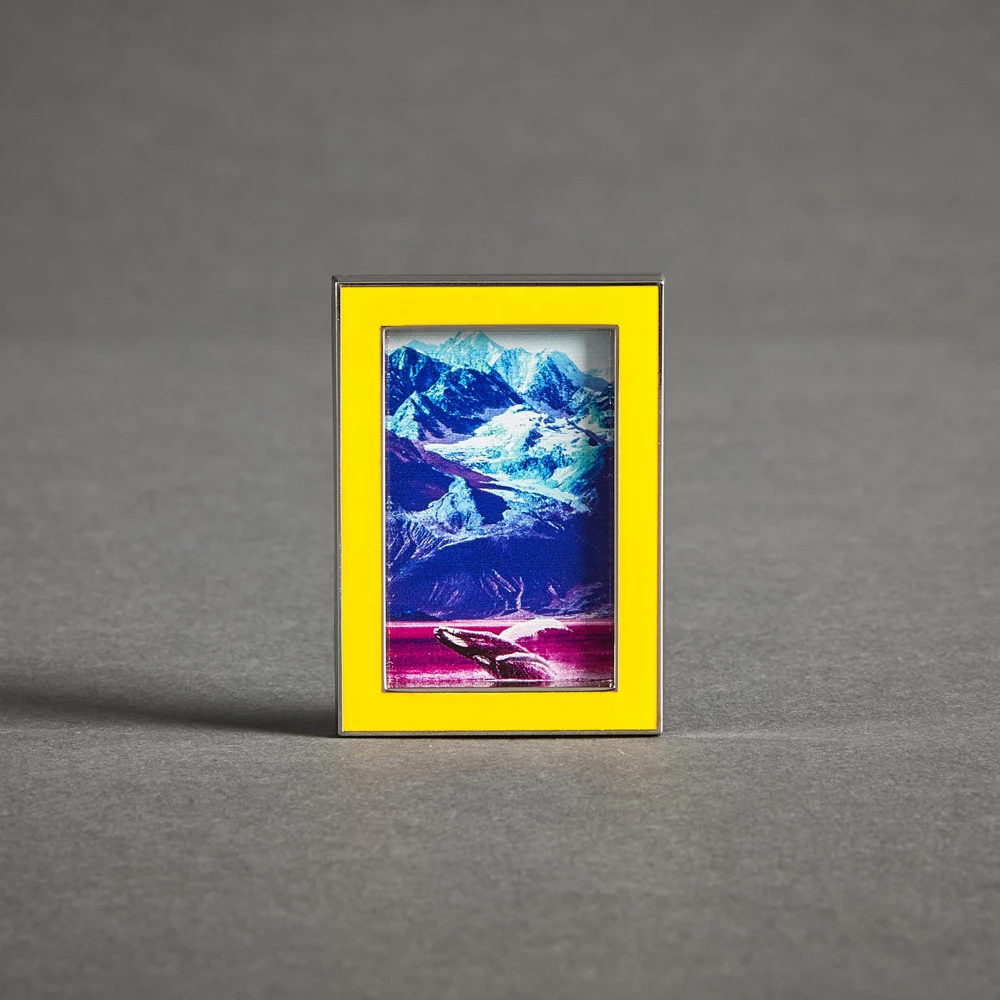 Disney Store Pin's National Geographic Océan 2 Disney Store Pin's National Geographic Océan – Image 2