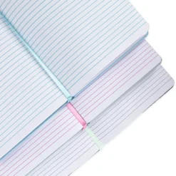 Lot De 3 journaux Walt Disney's Disneyland, Disney100 Eras -Disney Soldes Boutique 466043802443 4